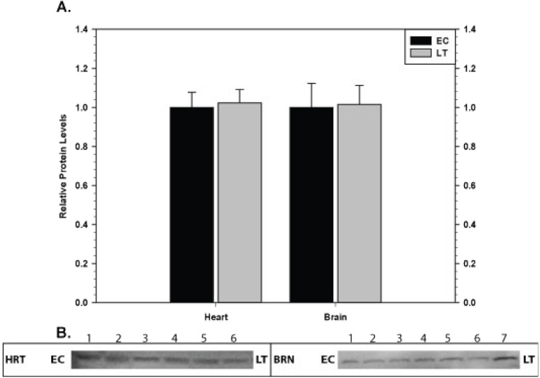 Figure 10