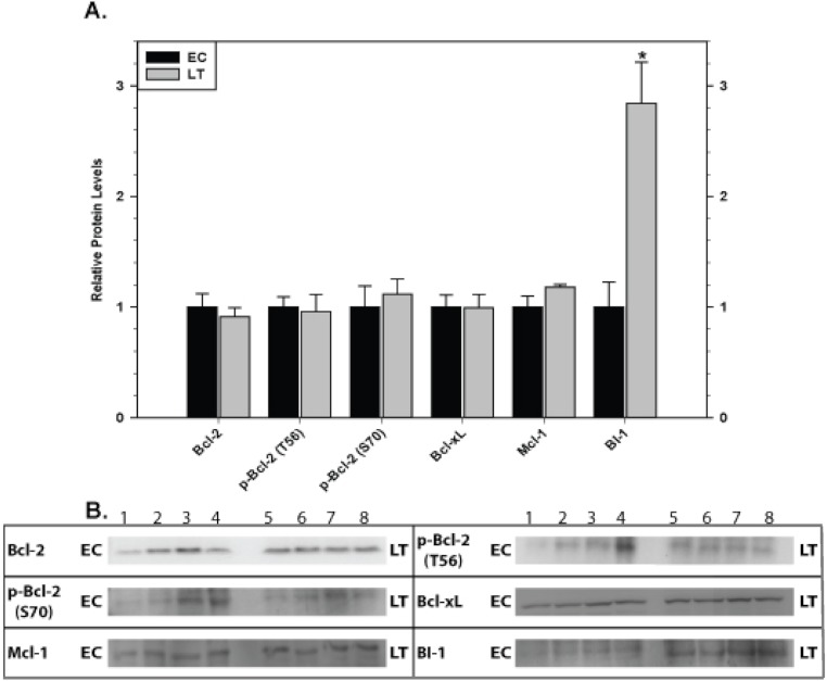 Figure 6