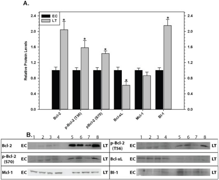 Figure 5