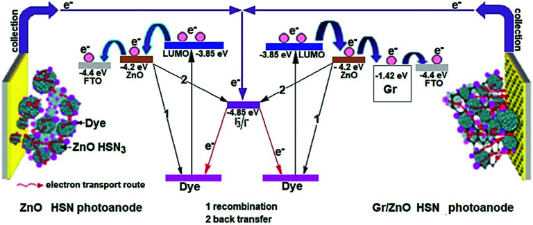 Fig. 12