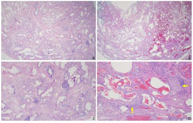 Fig. (2)