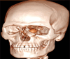 Fig 5: