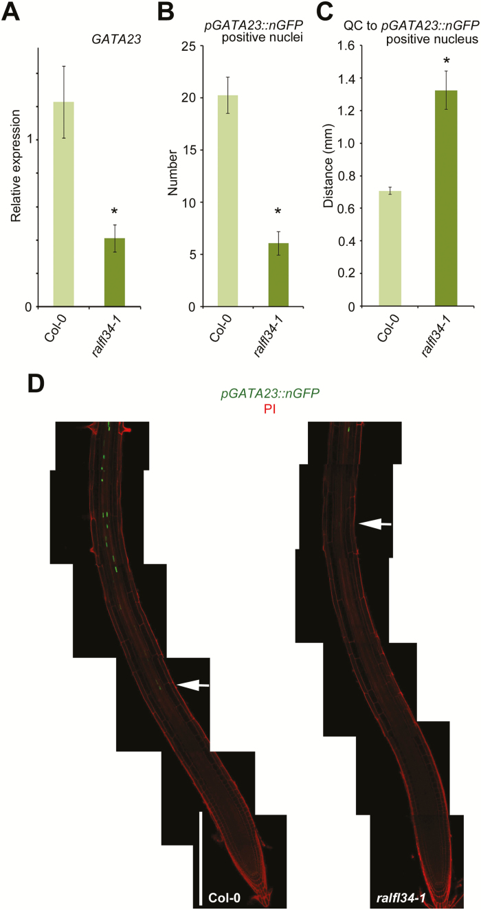 Fig. 7.