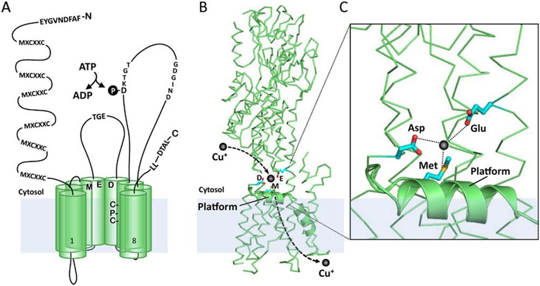 Figure 3.