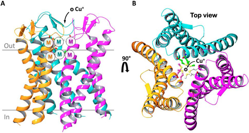 Figure 2.