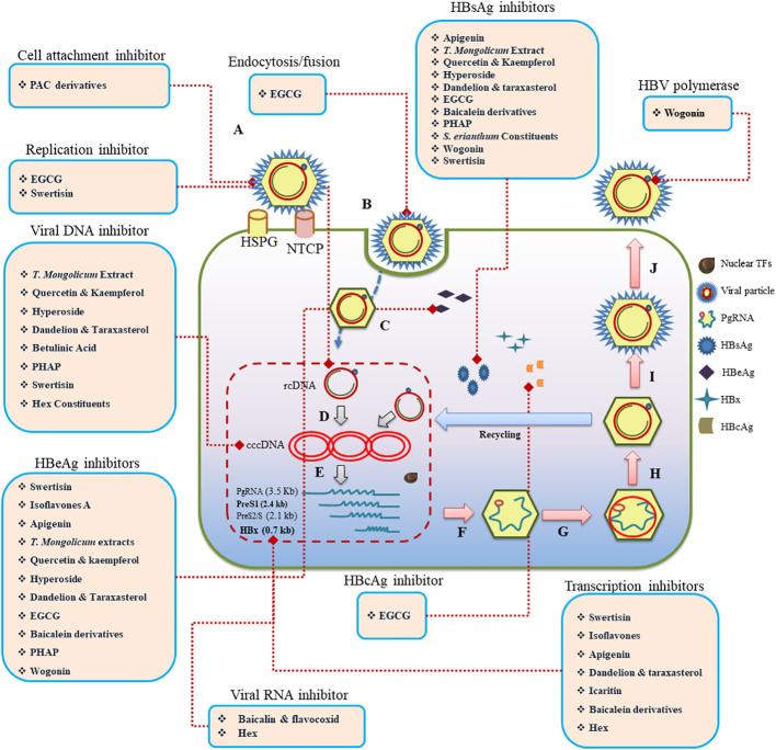 Figure 2