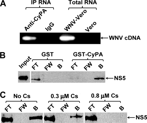 FIG. 4.