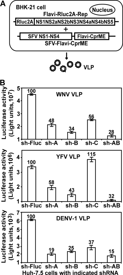 FIG. 2.