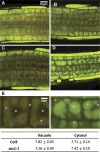 Fig. 3.