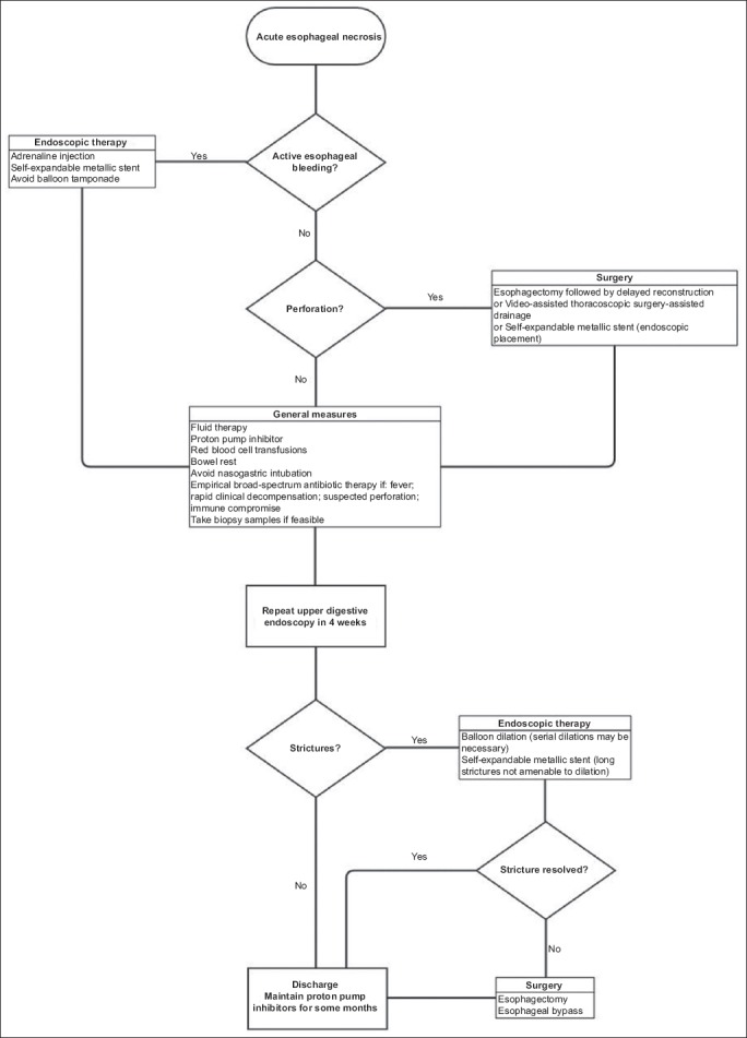 Diagnosis and management of acute esophageal necrosis - PMC