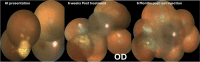 Fig. 5