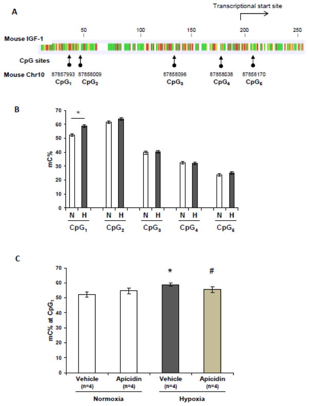 Figure 7