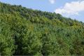 graphic file with name 41598_2021_4317_Figf_HTML.gif