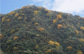 graphic file with name 41598_2021_4317_Figh_HTML.gif