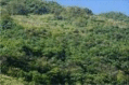graphic file with name 41598_2021_4317_Figb_HTML.gif