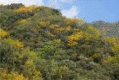 graphic file with name 41598_2021_4317_Figd_HTML.gif