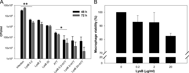 FIG 6