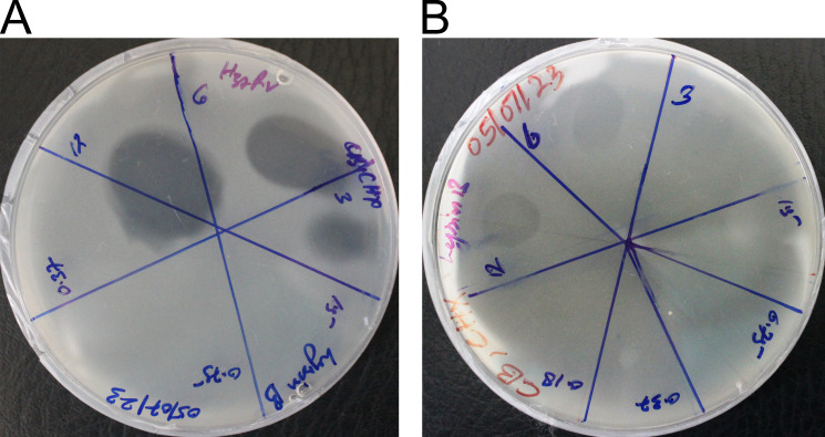 FIG 3