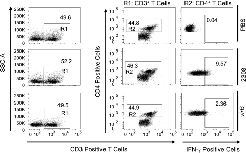 FIG. 4.