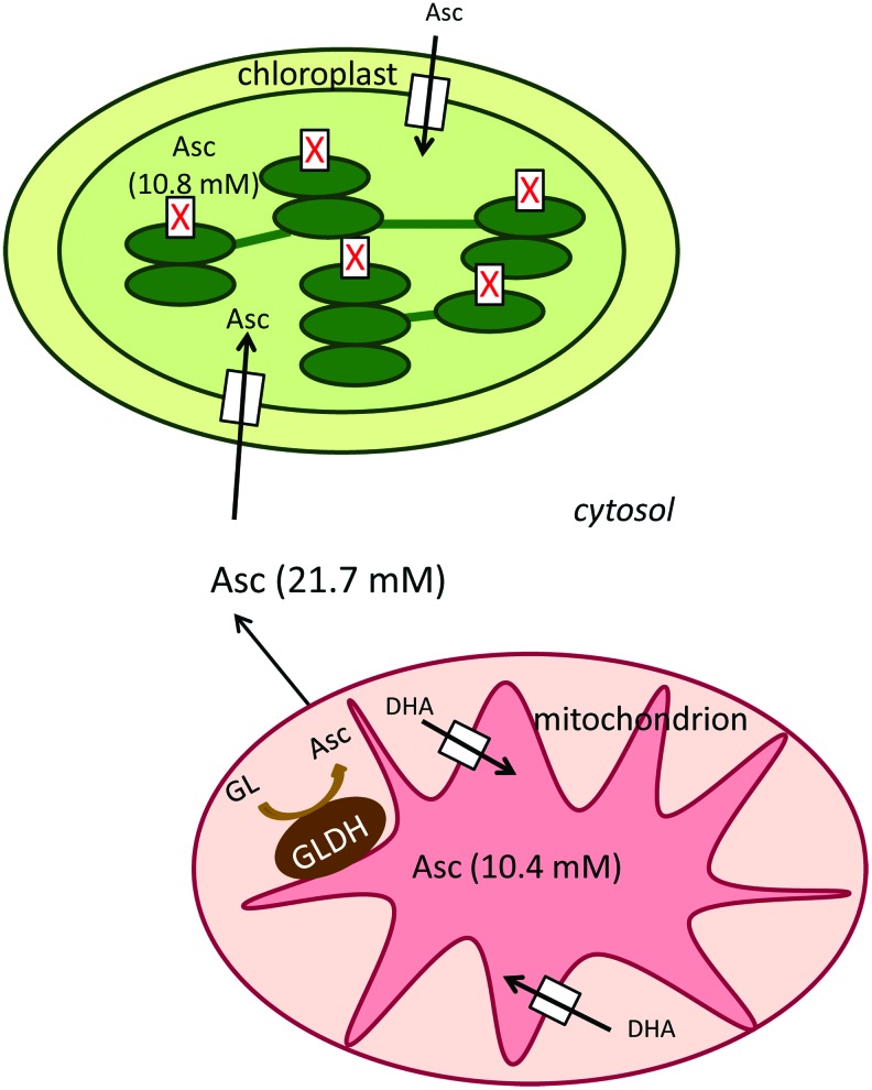 FIG. 5.