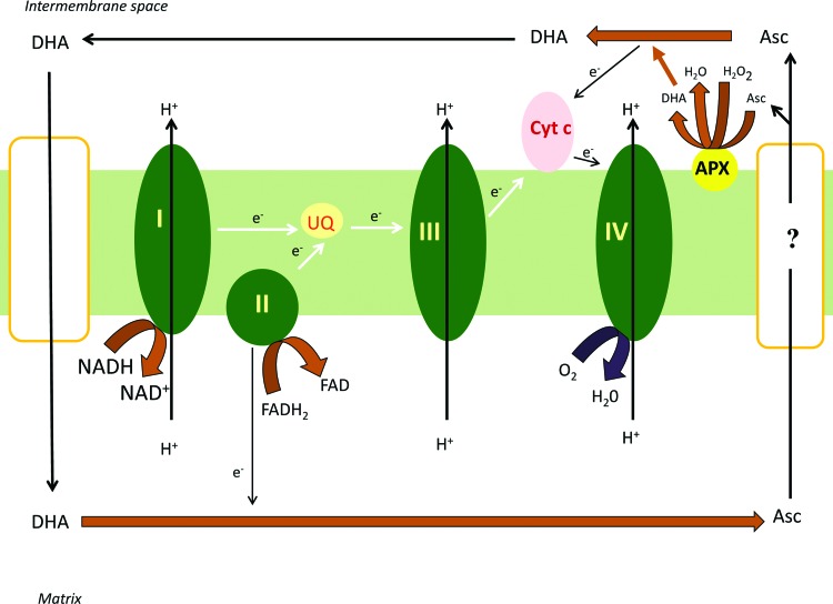 FIG. 3.