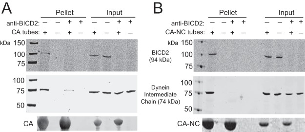 FIG 11