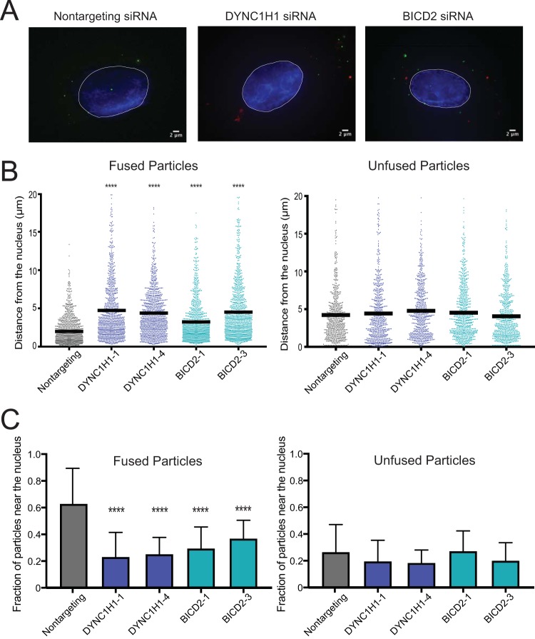 FIG 6