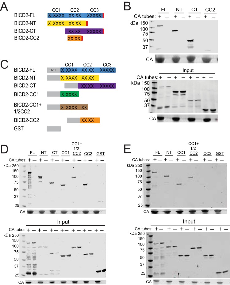 FIG 10