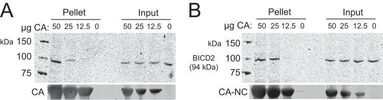 FIG 9