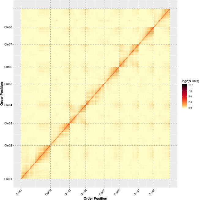 Fig. 2