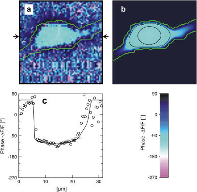 FIGURE 11