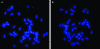 F<sc>igure</sc> 4.—