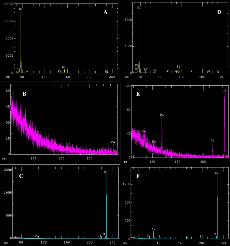 Fig. 4