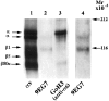 Fig. 9.