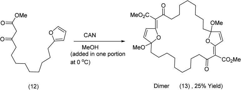 Scheme 5