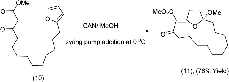 Scheme 4