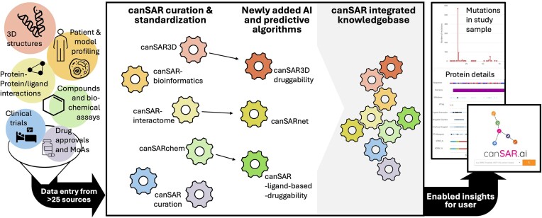 Graphical Abstract