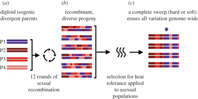 Figure 2.