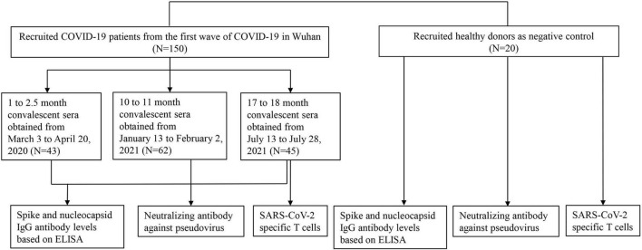 FIGURE 1