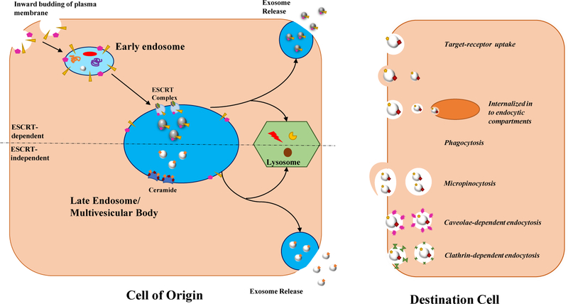 Figure 1: