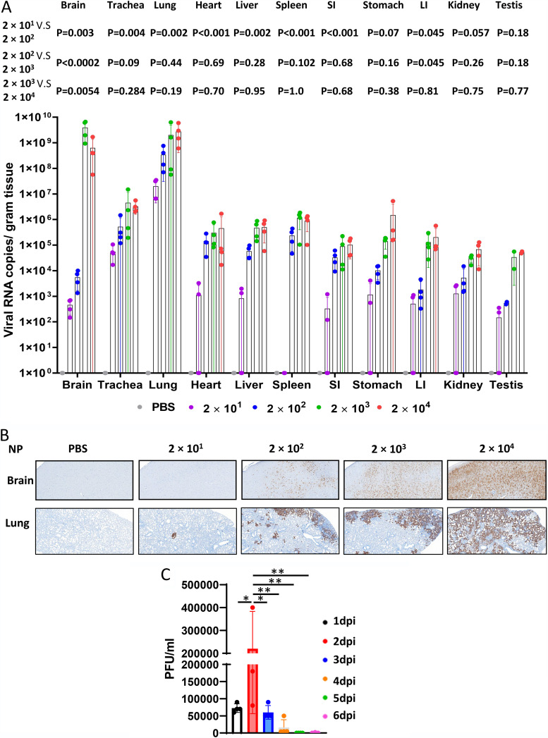 FIG 2