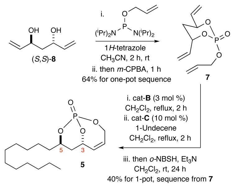 Scheme 4