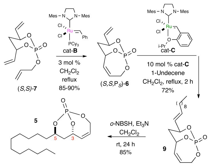 Scheme 2