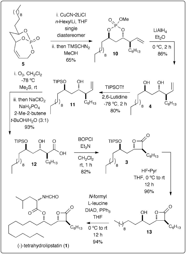 Scheme 5