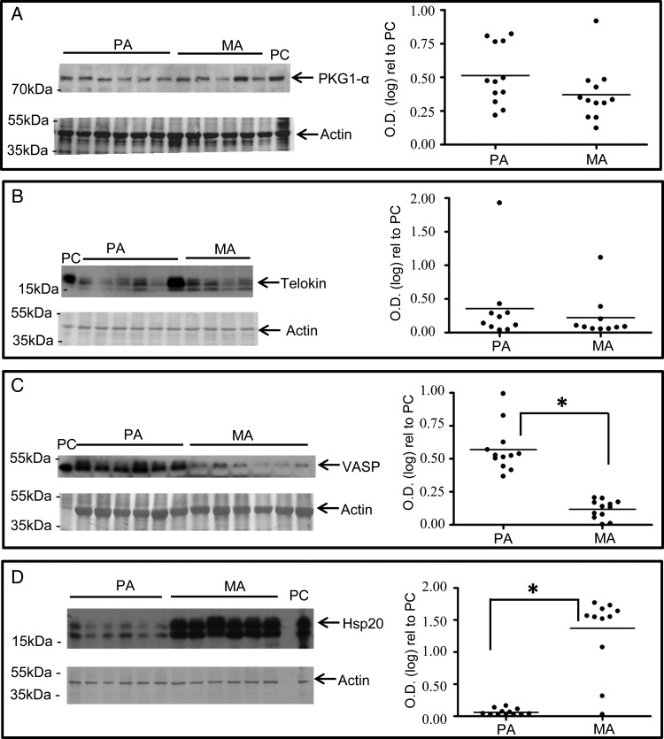 Figure 5