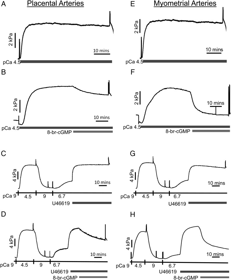 Figure 2