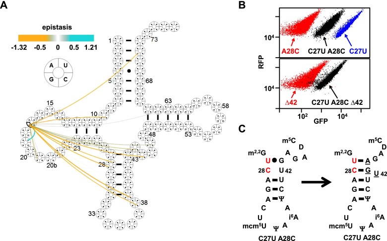 Figure 4.