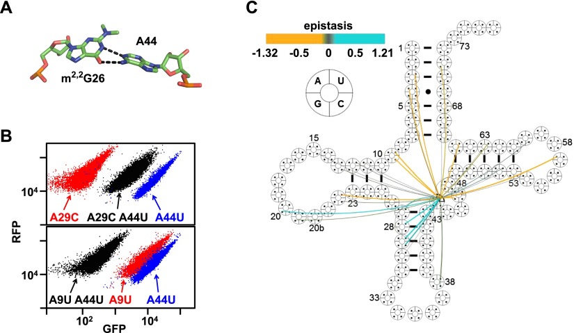 Figure 3.