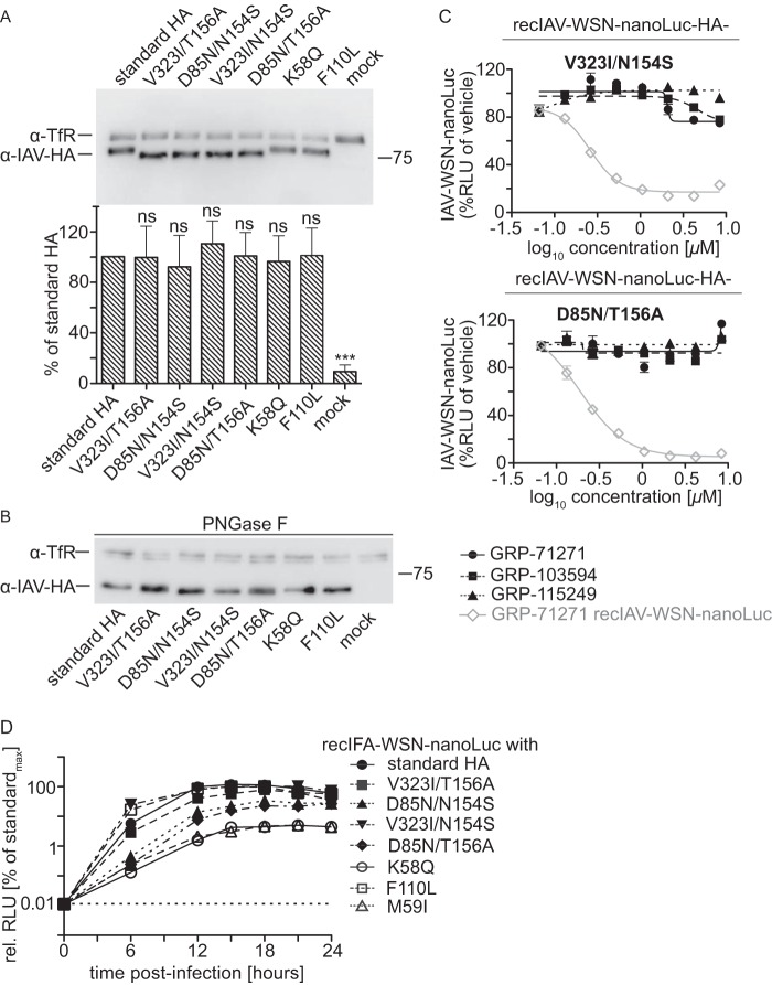 FIG 6