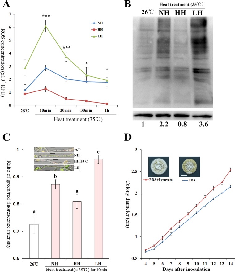 FIG 2 